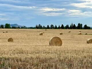 Field of hay bales with mountains and blue sky