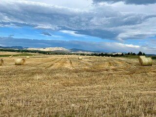 Field of hay bales with mountains and blue sky