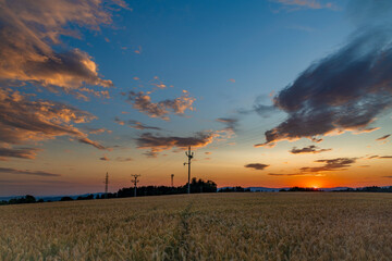 Summer color grain field in sunset evening near Roprachtice village