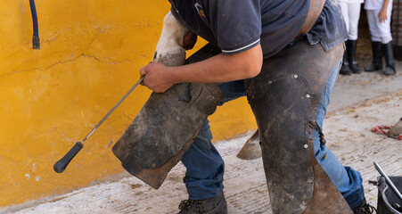 horse's leg in blacksmith work