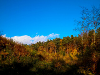 Beautiful Polish golden autumn.