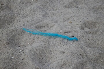 A blue rope on the ground