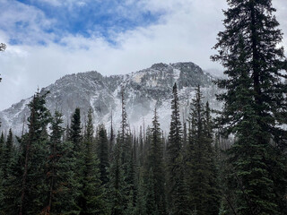 Mount Zirkel Wilderness in Colorado 