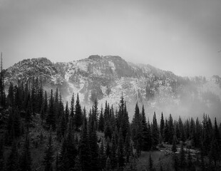 The Misty Mountains of Colorado