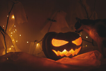Spooky Jack o lantern pumpkin and cat silhouette, spider web, ghost, bats and glowing light in...