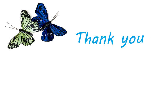 blue butterfly on white background with tettering