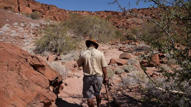 Namibian ranger hiking to Rock cravings petroglyphs at Twyfelfontein in Damaraland Namibia. Animals rock paintings in slowmotion. High quality 4k footage