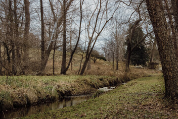 path in the woods
