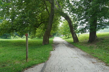 Tree Lined Country Lane through Valley Forge Farm