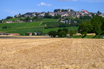 Fototapeta na wymiar Aerial view on vineyards around Sancerre wine making village, rows of sauvignon blanc grapes on hills with different soils, Cher, Loire valley, France