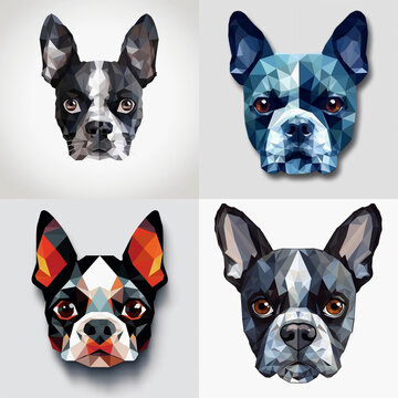 4 Geometric Illustrations of a Boston Terrier Dog, Head Only, isolated on a plain background. 