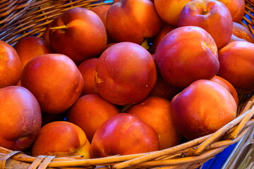 New harvest of fresh ripe sweet red nectarines  in Provence, France