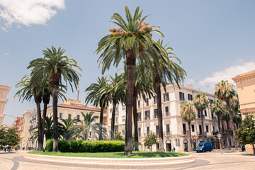 Fototapeta na wymiar Palm trees in the main street of Taranto, Italy. 