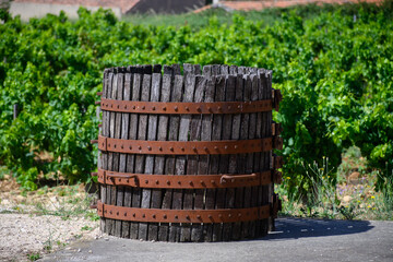 Old wine press in Chateauneuf-du-Pape wine making village in France with green vineyards on large pebbles galets and sandstone clay soil