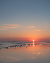 sunset over the sea