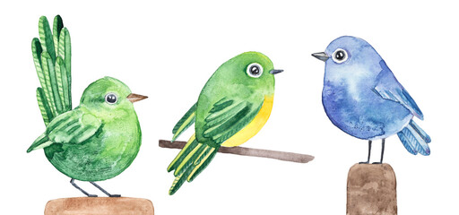 Watercolour illustration set of three various birds in green, yellow and blue purple color. Hand painted water color graphic sketch on white background, cutout clip art elements for design decoration.