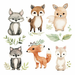 Woodland Animals Clipart Watercolor