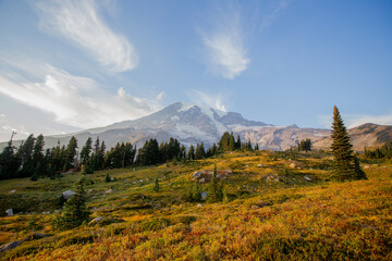 Obraz premium Mount Rainier National Park, Washington