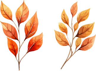 Autumn leaves clipart, isolated vector illustration.