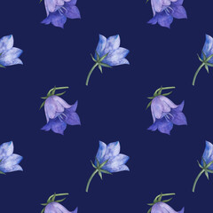 Seamless pattern with bluebell, spreading bellflower flowers (Campanula patula, little bell, rapunzel, harebell). Watercolor hand painting illustration on isolate white background