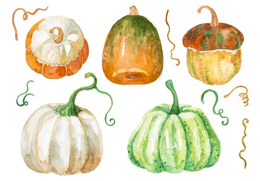 Abstract watercolor collection of autumn pumpkins. Hand drawn nature design elements isolated on white background.