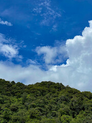 Clouds rolling over lush growing trees on top of hill in the middle of jungle