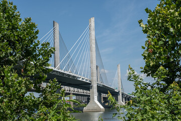 Abraham Lincoln bridge over the Ohio River viewed through trees during the day in Louisville, Kentucky, USA