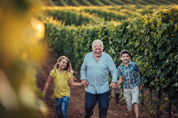 Grandfather taking his grandkids through his vineyard in the country side
