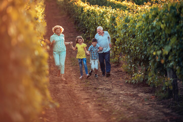 Grandparents taking their grandkids through their vineyard in the country side