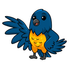 Cute thraupidae black and gold tanager bird cartoon
