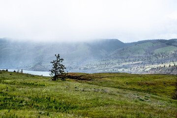 Foggy Hikes at Tom McCall Preserve in Columbia River Gorge, OR
