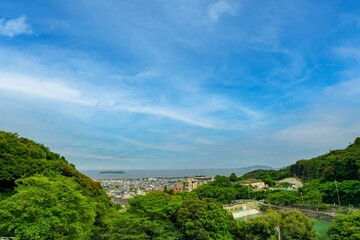 Fototapeta na wymiar 愛知県蒲郡市　アジサイの咲き誇る風景