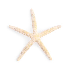 Beautiful sea star (starfish) isolated on white