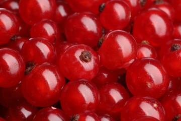 Many tasty fresh red currants as background, closeup