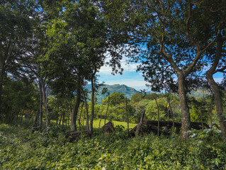 Cerros en Panama