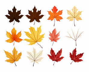 Leaves Autumn November October palm trees ficus forest fall Oak Maple alder hazel MONSTERA BUSH linden
