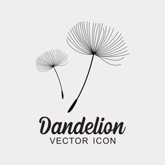 Vector illustration dandelion time. Dandelion seeds blowing in the wind.