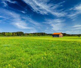 Fototapeta na wymiar Rural road in summer meadow with wooden shed