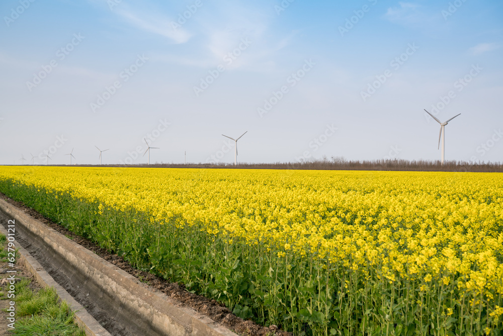 Wall mural wind turbines in the field