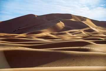 Fototapeta na wymiar sand dunes in park