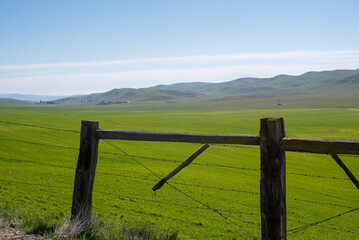 Fototapeta premium Fence