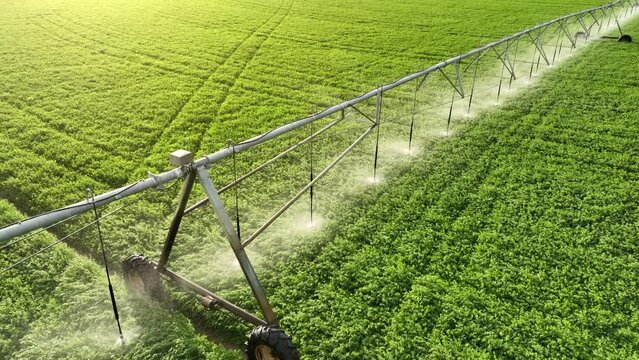 Aerial shot of the sprinklers watering Alfalfa on a circular farm in the Owens Valley in California