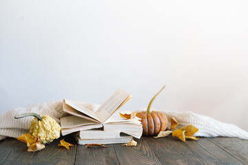 Cozy autumn background, decorative pumpkin, dried flowers, books, warm sweaters. Reading in the autumn day. Autumn books. Autumn reading. Cozy mood. Space for text, top view.
