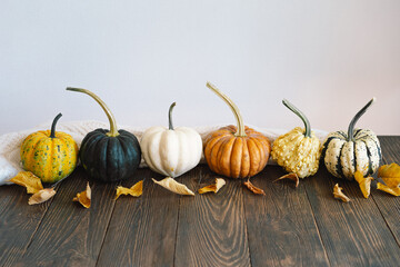 Multicolored pumpkins and dry autumn leaves on wooden background. Top view for Autumn, fall,...