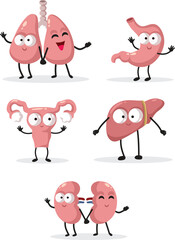 Set of Cartoon Internal Organs Characters on a White Background. Happy anatomical mascots isolated feeling cheerful
