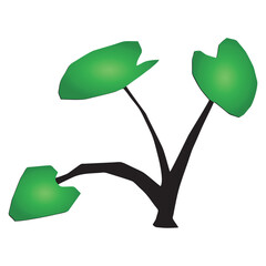 taro tree with green leaves