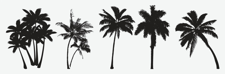 Fototapeta na wymiar Exotic Silhouettes of Majestic Coconut Trees, Tropical Island Paradise Inspired Vector Artwork