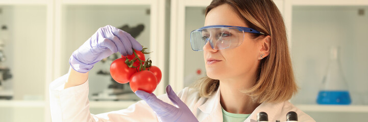 Scientist chemist in gloves and protective glasses holding tomatoes in laboratory