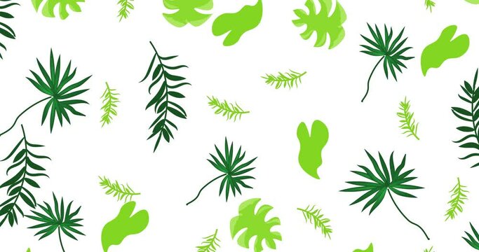 Repeat Seamelss loop  tropical leaf  animated background.seamless motion background