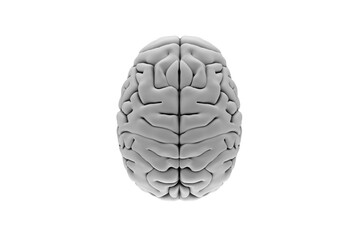 Digital png illustration of gray human brain on transparent background